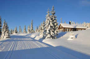 Tores hytte på Sjusjøen